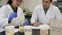 Precision-Fermented Sustainable Proteins