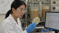 The Evolution of Synthetic Biology and Precision Fermentation